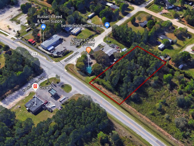 4493 Cr 218, Commercial Land : Middleburg : Clay County : Florida