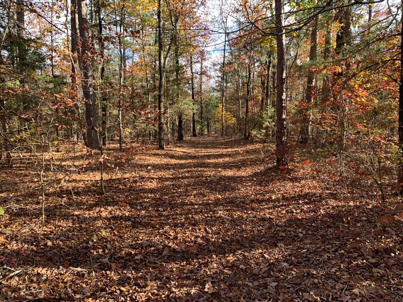3.6 Hwy 65 Bee Branch : Bee Branch : Van Buren County : Arkansas