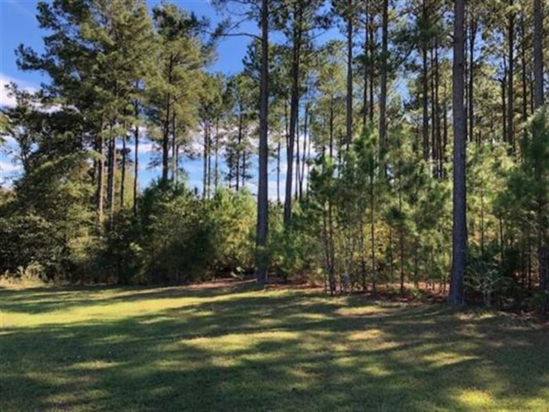 Beautiful Lot with a Lake View : Cochran : Bleckley County : Georgia