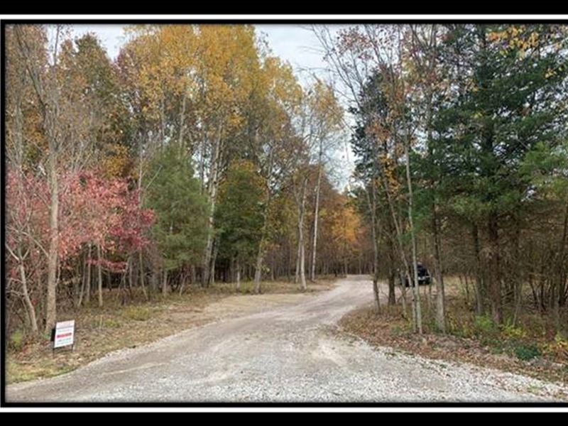 Beautiful Wooded Estate Home Site, Lot for Sale in Ohio, 221055 LOTFLIP
