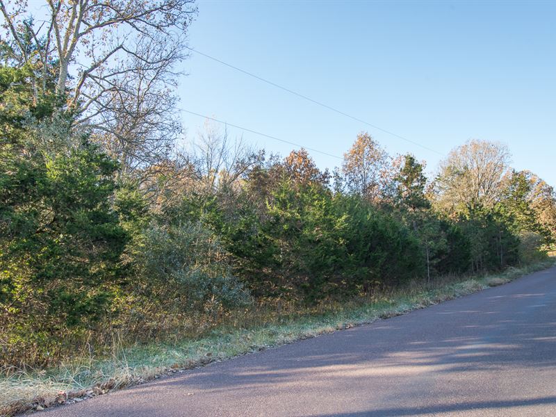 Ideal Residential Homesite : Hillsboro : Jefferson County : Missouri