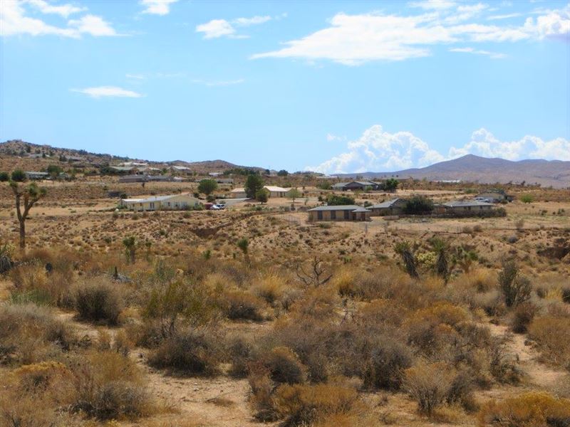 Amazing Lot, Apple Valley Highlands : Apple Valley : San Bernardino County : California