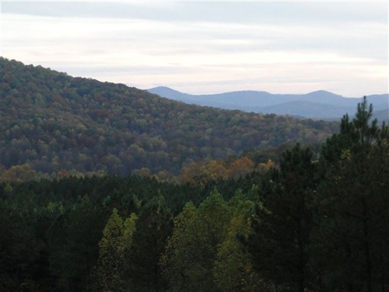 North GA Mountain Lot Liquidation : East Ellijay : Gilmer County : Georgia
