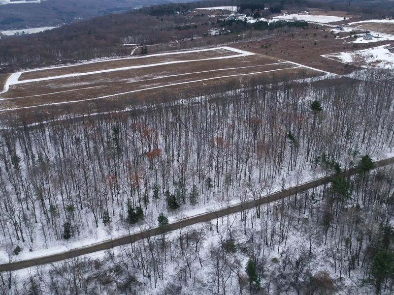 Mature Oaks & Hickories to Build : Hector : Schuyler County : New York