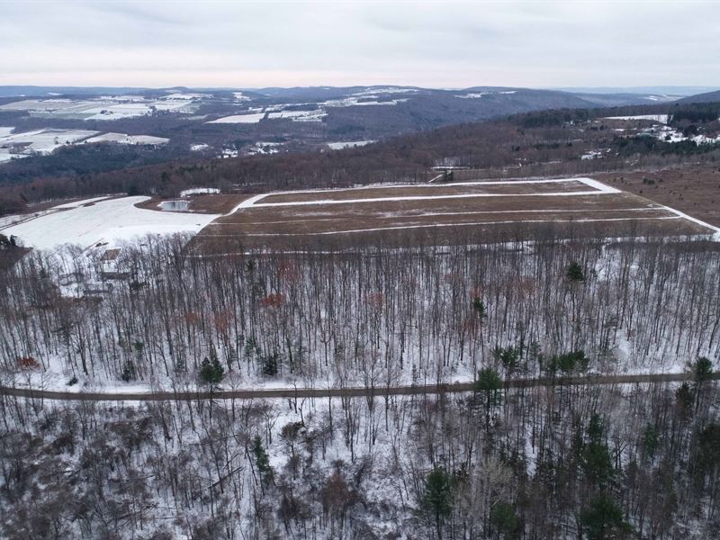 Drilled Well & Mature Trees : Hector : Schuyler County : New York