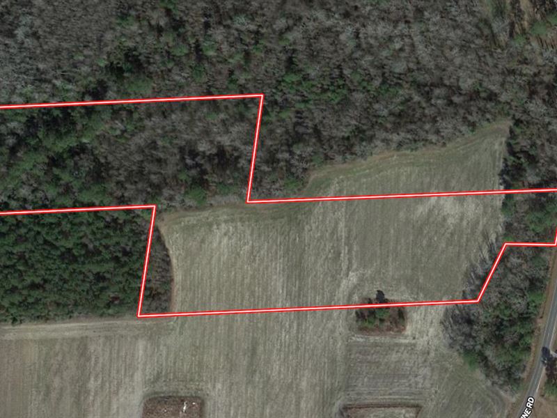 9.3 Acres of Resi : Whiteville : Columbus County : North Carolina
