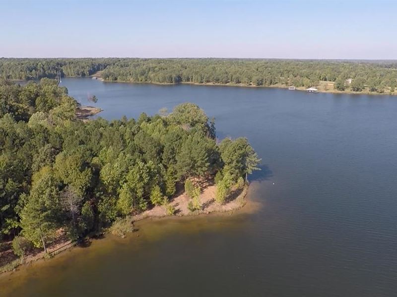 Wooded Water View Lot : Huntingdon : Carroll County : Tennessee