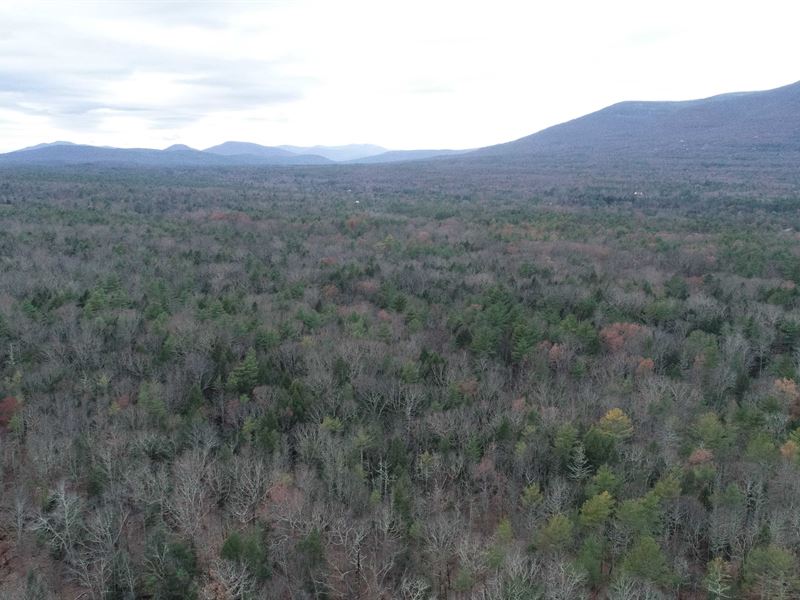 Deeded Frontage with Easy Commute : Saugerties : Ulster County : New York