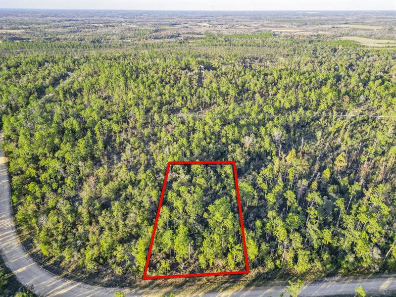 Christiansted Drive, Compass Lake : Alford : Jackson County : Florida