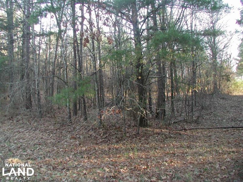 13 Acres Pine Hill Ln : Terry : Hinds County : Mississippi