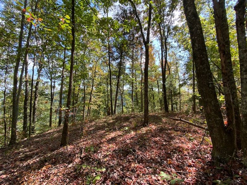 2.85+/- Acres Wooded Bluff Tract : South Pittsburg : Marion County : Tennessee