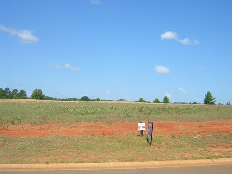 Golf Course Developed Lot : Hawkinsville : Pulaski County : Georgia