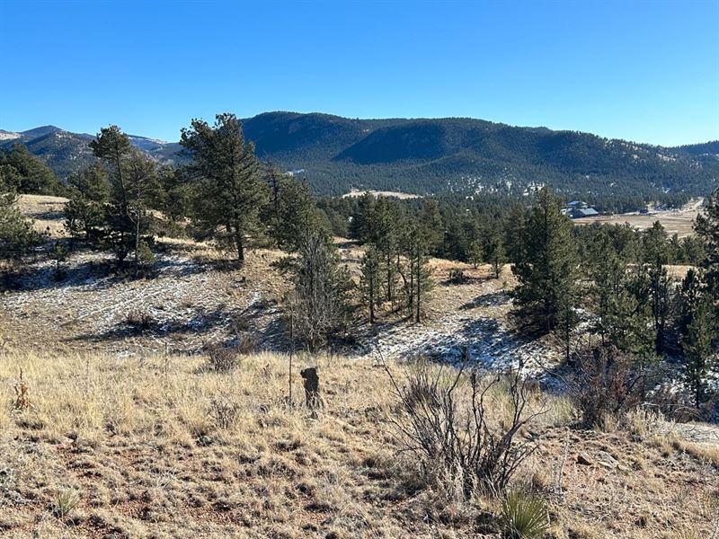 132 Wells Fargo Dr : Florissant : Teller County : Colorado
