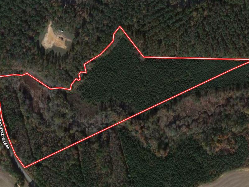 20 Acres of Timbe : Spring Hope : Nash County : North Carolina