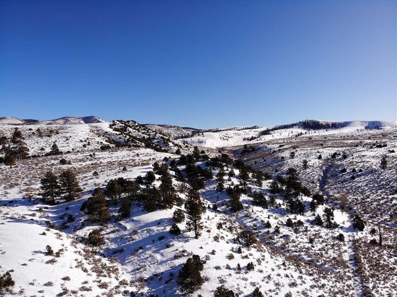 Trees, Mountains, Privacy, $199/Mo : Fort Garland : Costilla County : Colorado