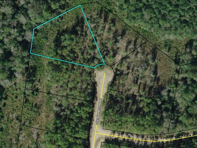 Compass Lake Hills, Culdesac Lot, Lot for Sale by Owner in Florida