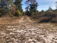 North Camden Homesite : Woodbine : Camden County : Georgia