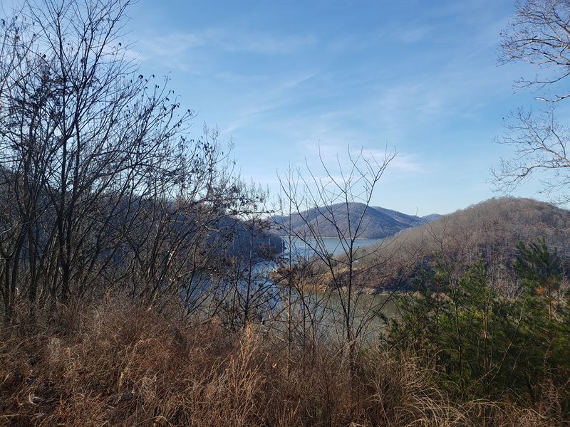 3 Acre Lake View Lot, Boat Slip : Whitesburg : Hawkins County : Tennessee
