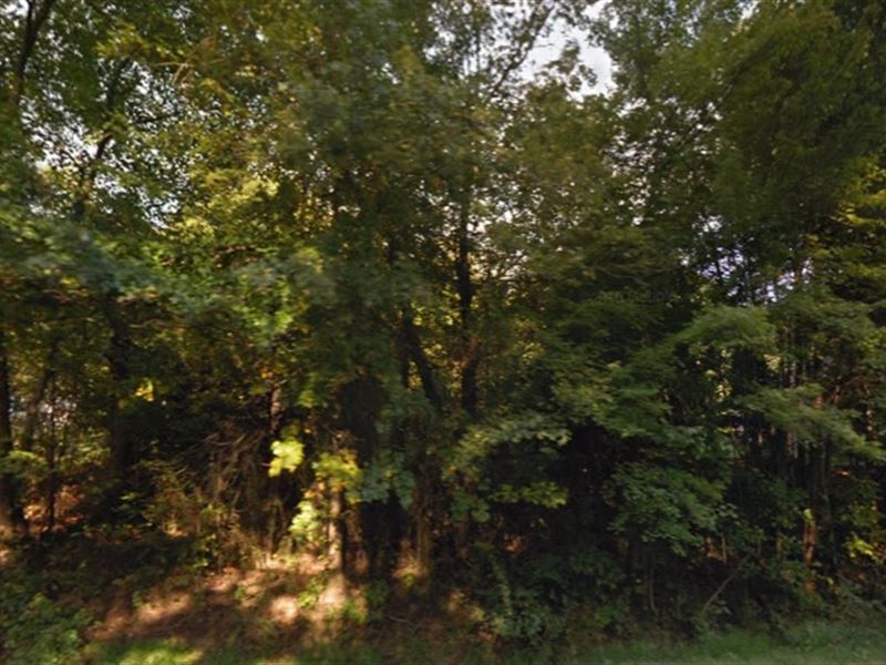 Residential Lot in Alexandria : Alexandria : Fairfax County : Virginia