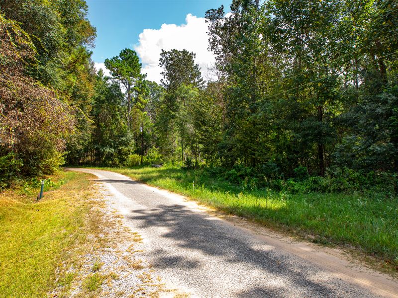 Lot Borders National Preserve Land : Cleveland : Liberty County : Texas