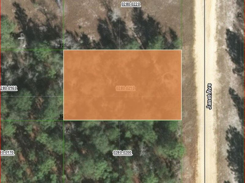 Enjoy The Florida Lifestyle : Interlachen : Putnam County : Florida
