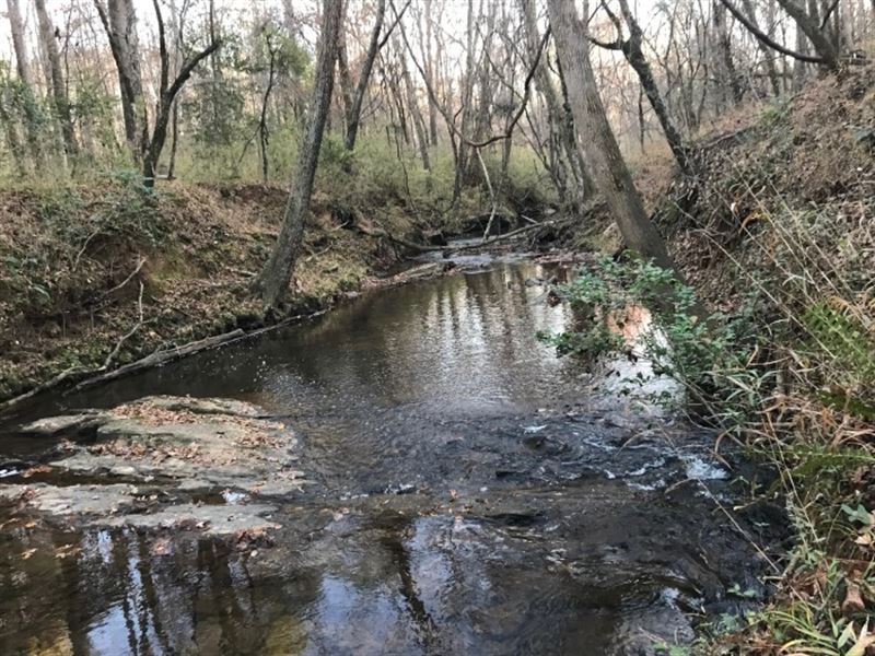 5.96 Acres, Fairfield County, SC : Ridgeway : Fairfield County : South Carolina