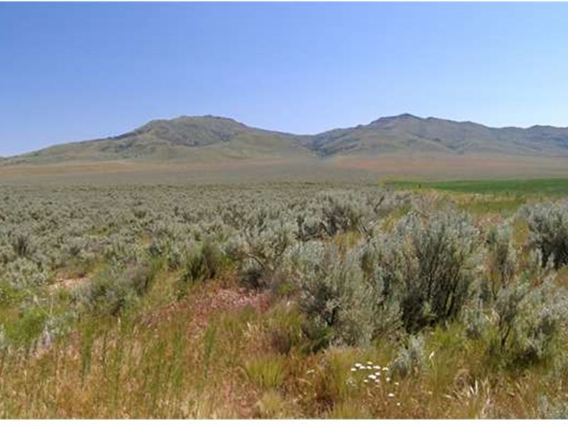 10 Ac Beautiful Malheur County, OR : Vale : Malheur County : Oregon