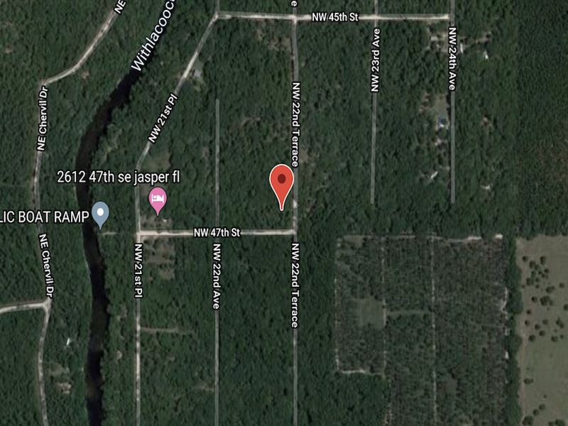 Withlacoochee River Site : Jasper : Hamilton County : Florida