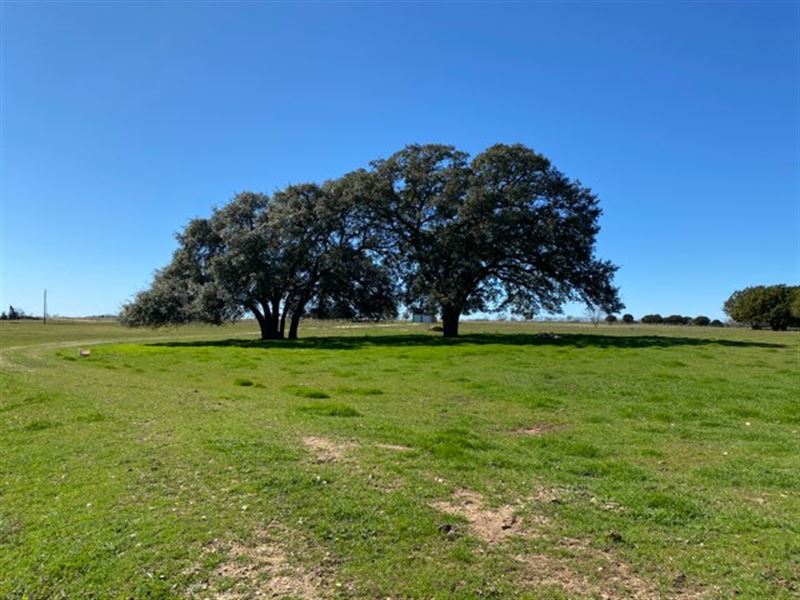 Amazing Lot Ready for Your New Home : Moody : Bell County : Texas