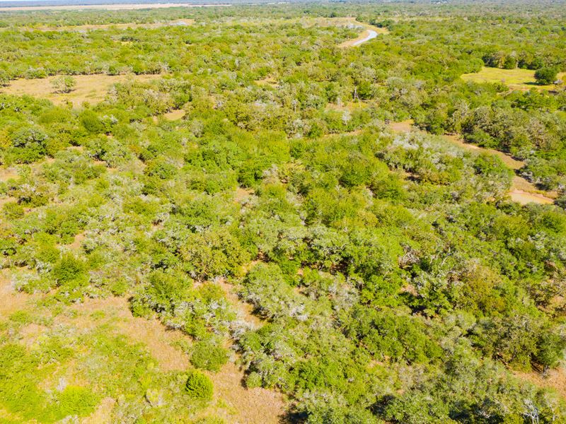 Owner Finance $488/Mo 2.57 Acres : Hallettsville : Lavaca County : Texas