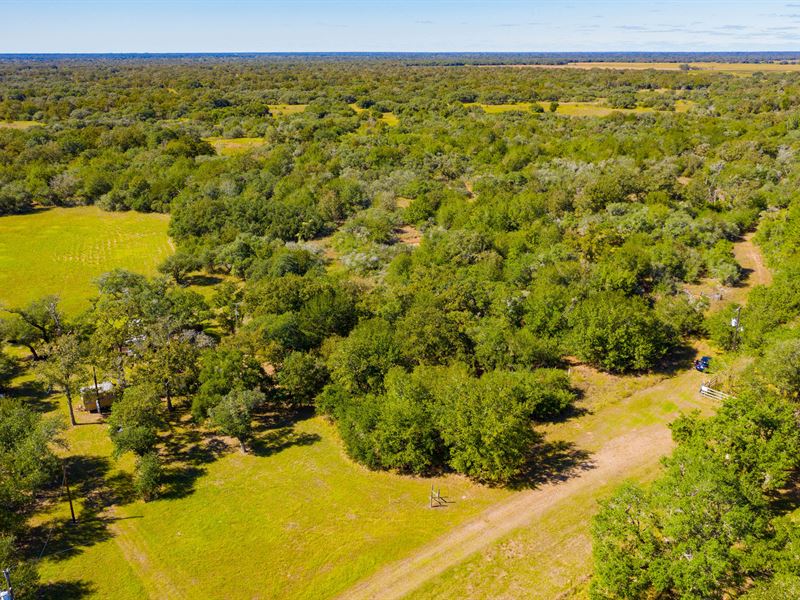 Owner Finance $424/Mo 2.3 Acres : Hallettsville : Lavaca County : Texas