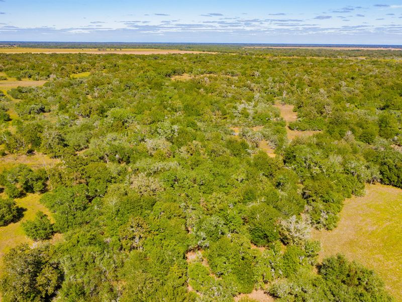 2.88 Acres Unrestricted & Off-Grid : Hallettsville : Lavaca County : Texas