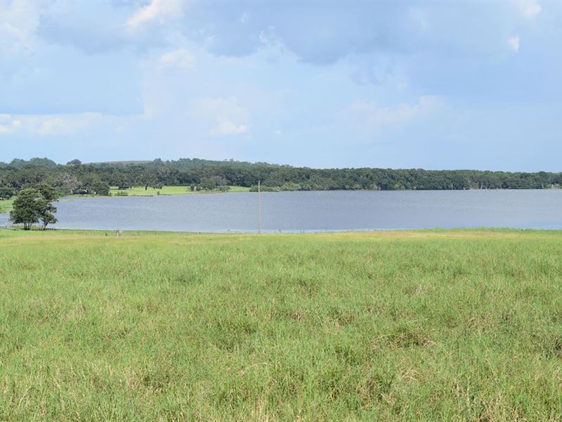 Lake Access 10 Acre : Brooksville : Hernando County : Florida
