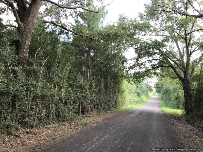Beautiful 5Ac Tract Ready for Home : Magnolia : Pike County : Mississippi