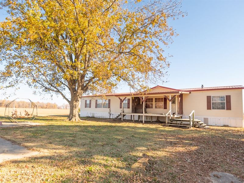 5 Acres with 3 Acres of Row Crop : Qulin : Butler County : Missouri