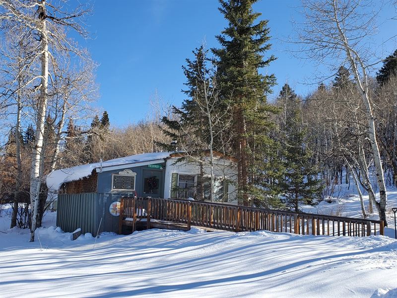 Affordable Mountain Property Home : Ridgway : Ouray County : Colorado