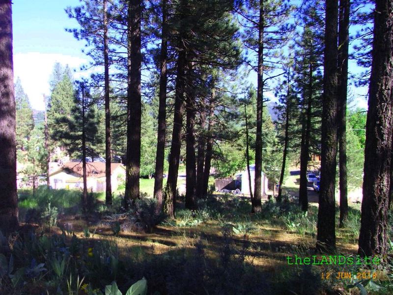 City Lot in Portola California : Portola : Plumas County : California