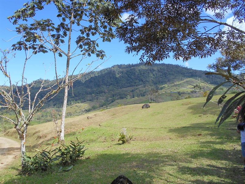 Country Living / Beautiful Views : Tuis De La Suiza : Costa Rica