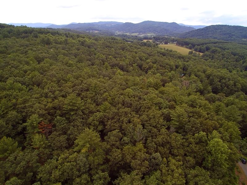 10 Elevated Acres in Blue Ridge : Independence : Grayson County : Virginia