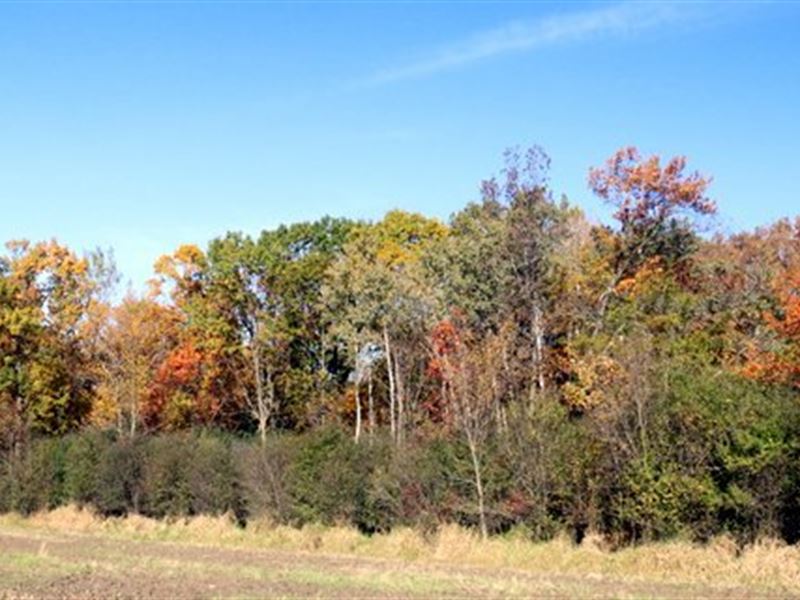 Mature Wooded Building Site, Pond : Edgerton : Dane County : Wisconsin