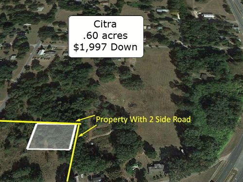 how-big-is-60-acres-tierneyefosa