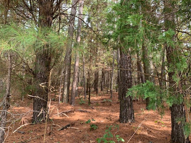 15.872 Wooded Acres : Taylorsville : Bartow County : Georgia