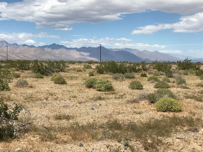 1.96 Acres Kern County, CA : Inyokern : Kern County : California