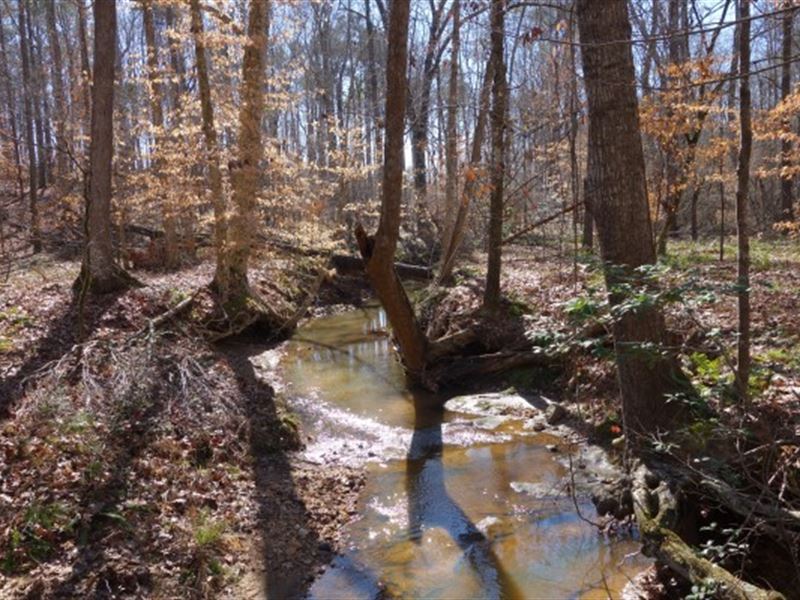 20 Acres, Fairfield County, SC : Ridgeway : Fairfield County : South Carolina