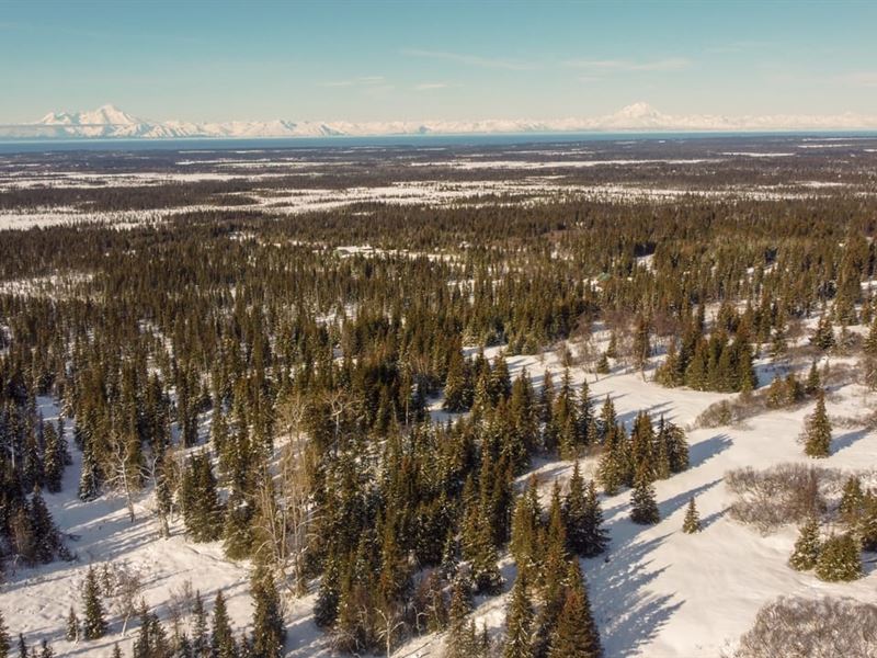 Off-Grid Alaskan Paradise 20 Acres : Anchor Point : Kenai Peninsula Borough : Alaska