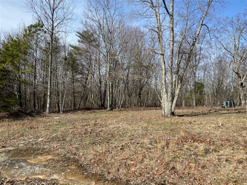 13.7+- Acres Unrestricted Wooded : Whitwell : Marion County : Tennessee