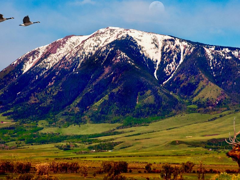 Lot by Medicine Bow National Forest : Elk Mountain : Carbon County : Wyoming