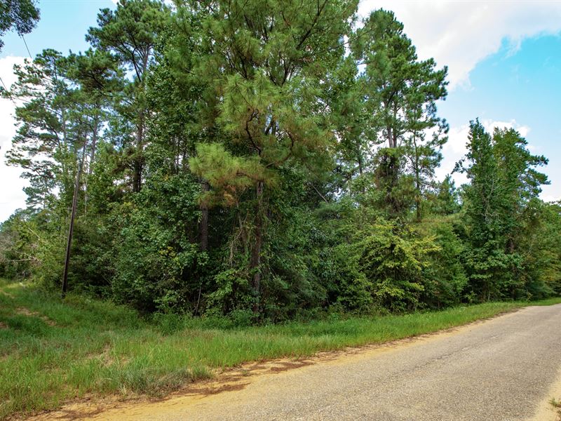 Wooded Lot with Paved Road Frontage : Cleveland : Liberty County : Texas