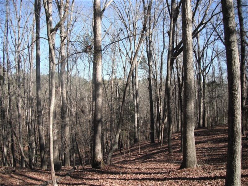17.54 Acres, Fairfield County, SC : Winnsboro : Fairfield County : South Carolina