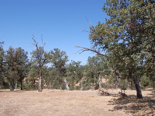 Ideal Lot on Cul-De-Sac : Cottonwood : Tehama County : California